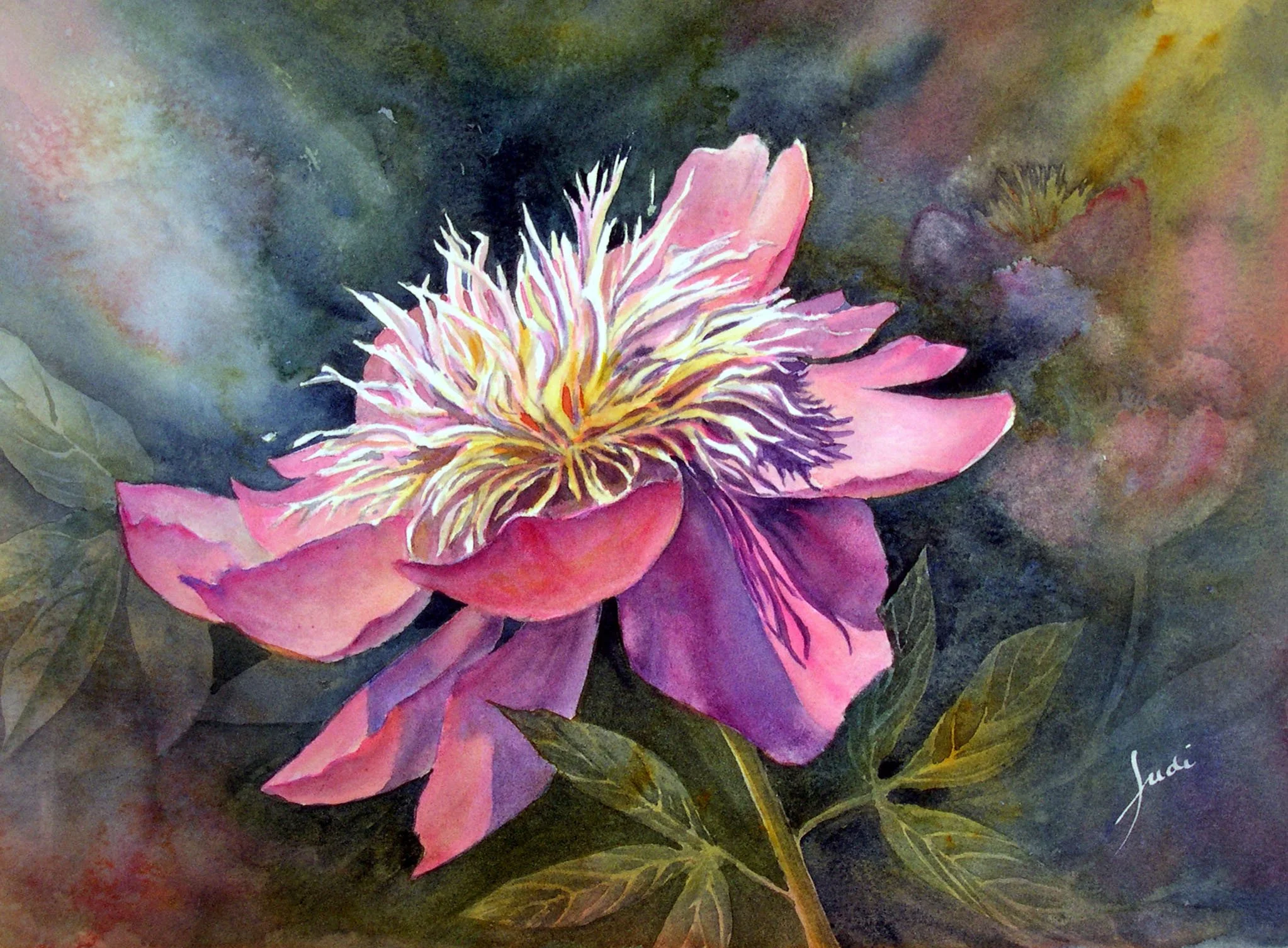 Singular Sensation.jpg