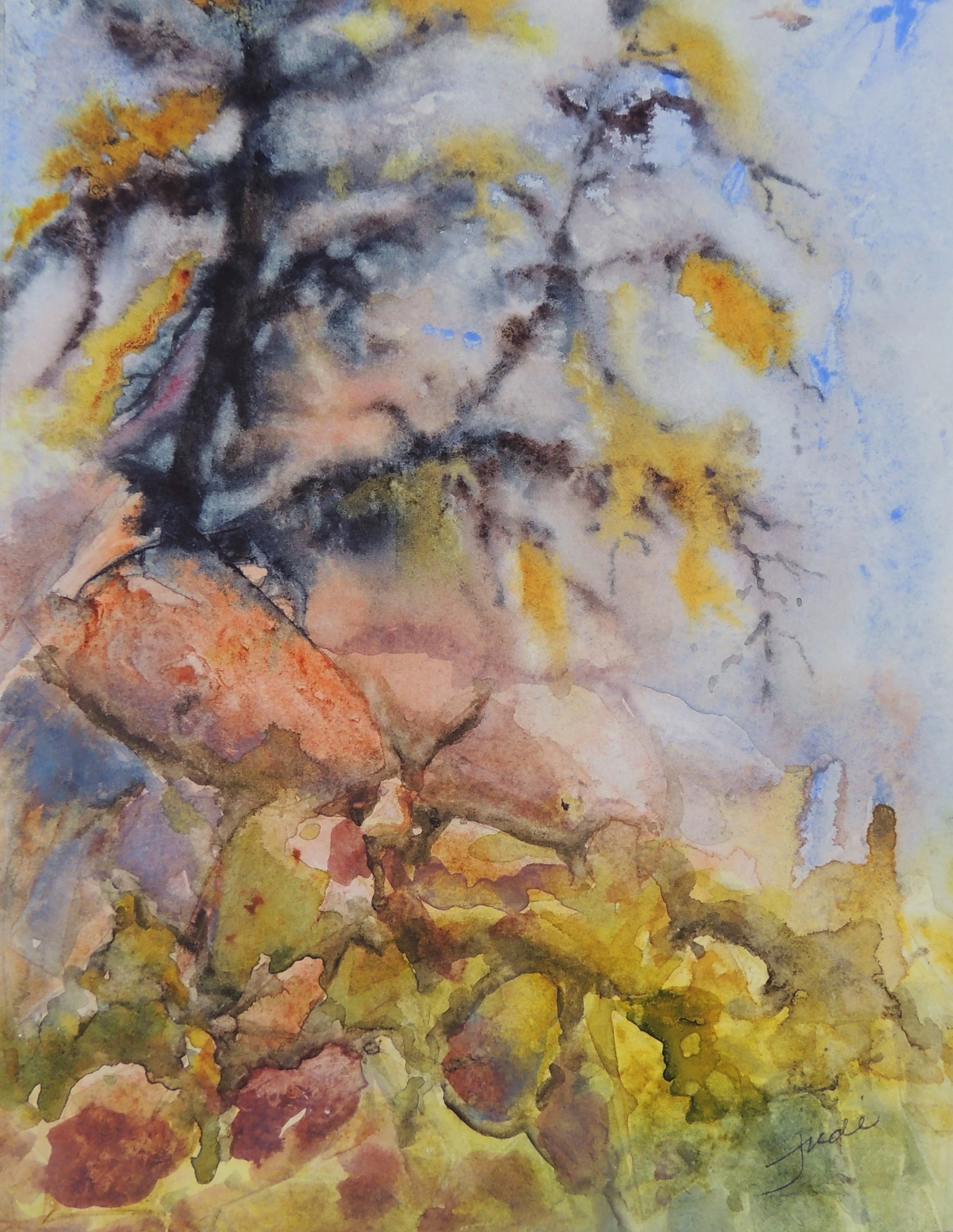 Mystery Tree [2016].JPG