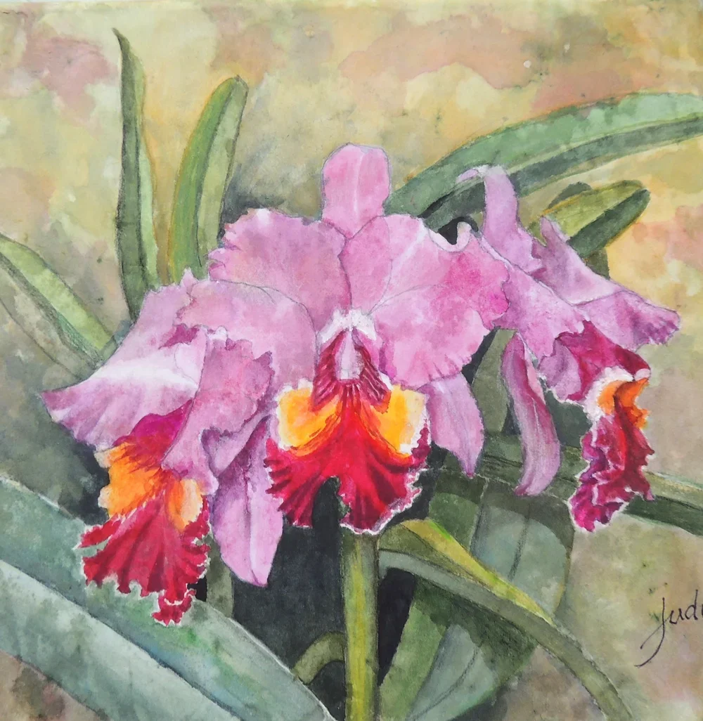 Orchid Three.webp