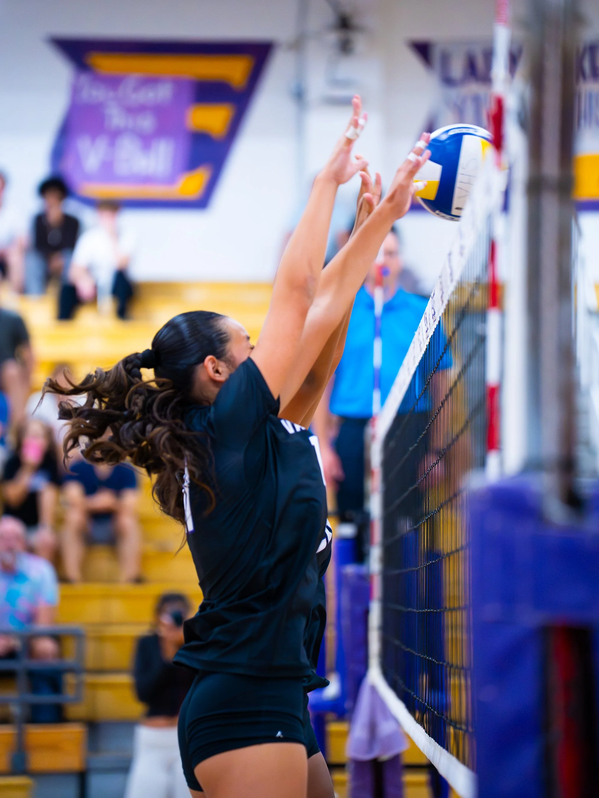 MSL Media- Valencia JV GVB-16.jpg