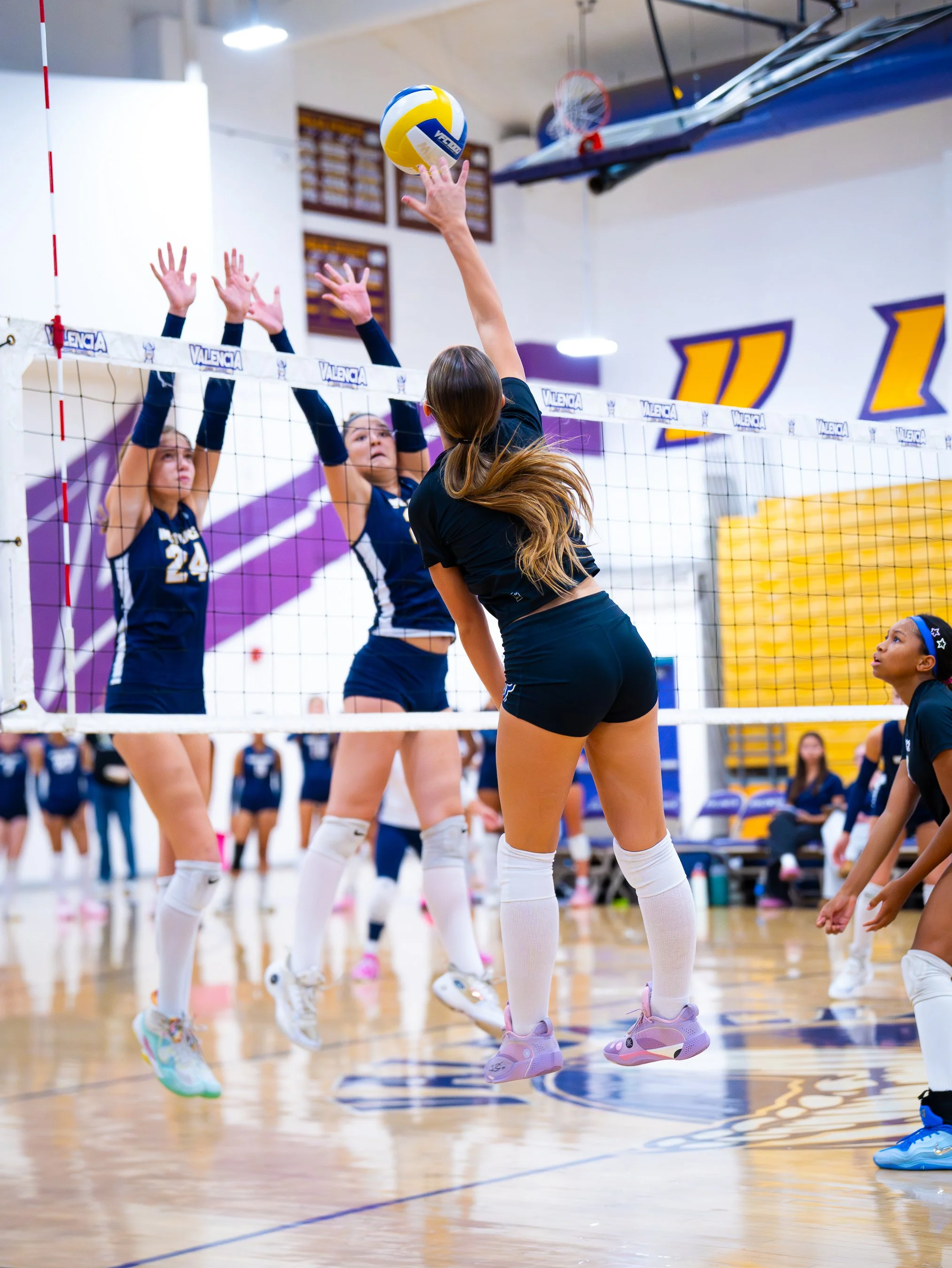 MSL Media- Valencia JV GVB-58.jpg