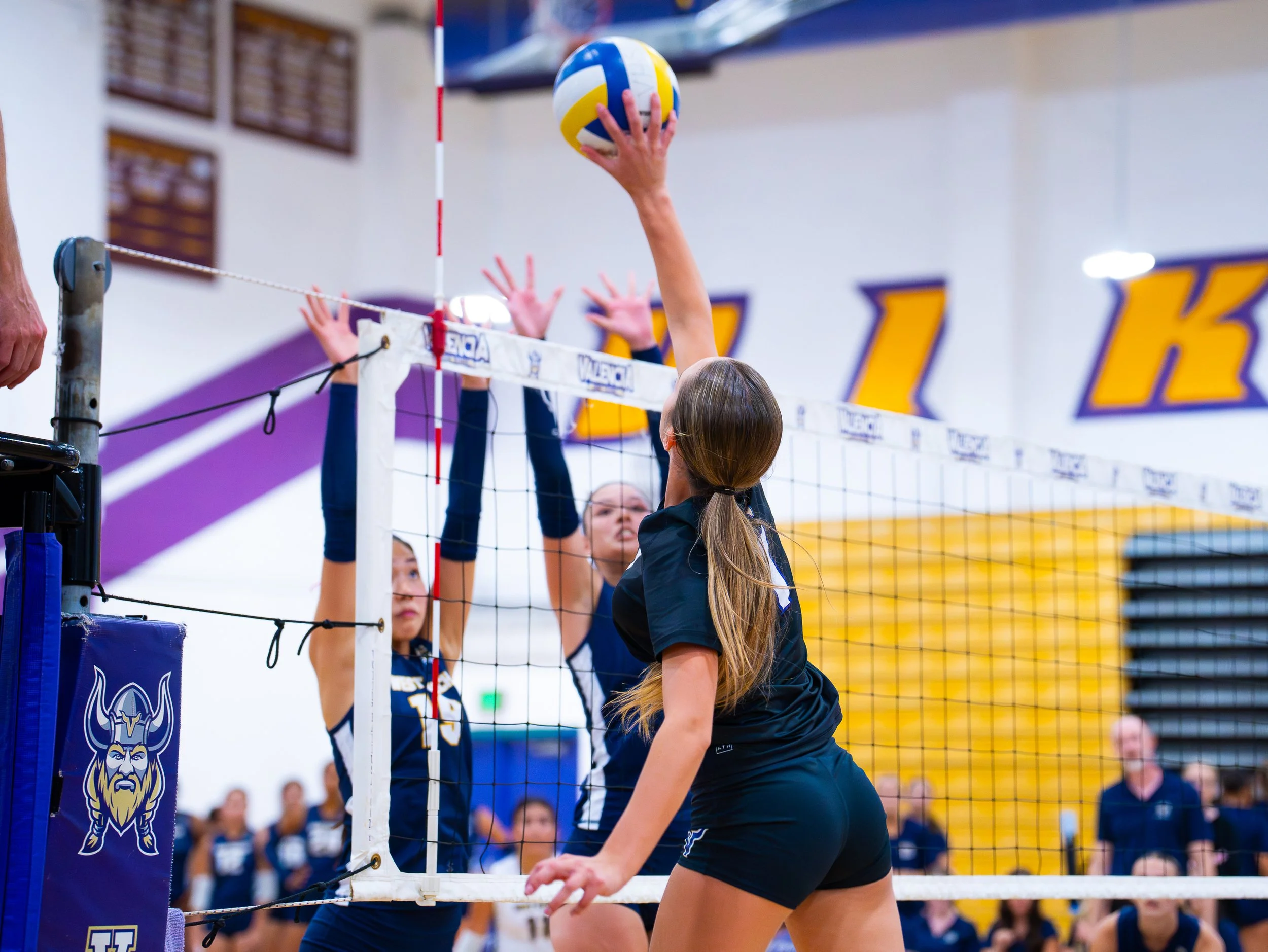 MSL Media- Valencia JV GVB-69.jpg