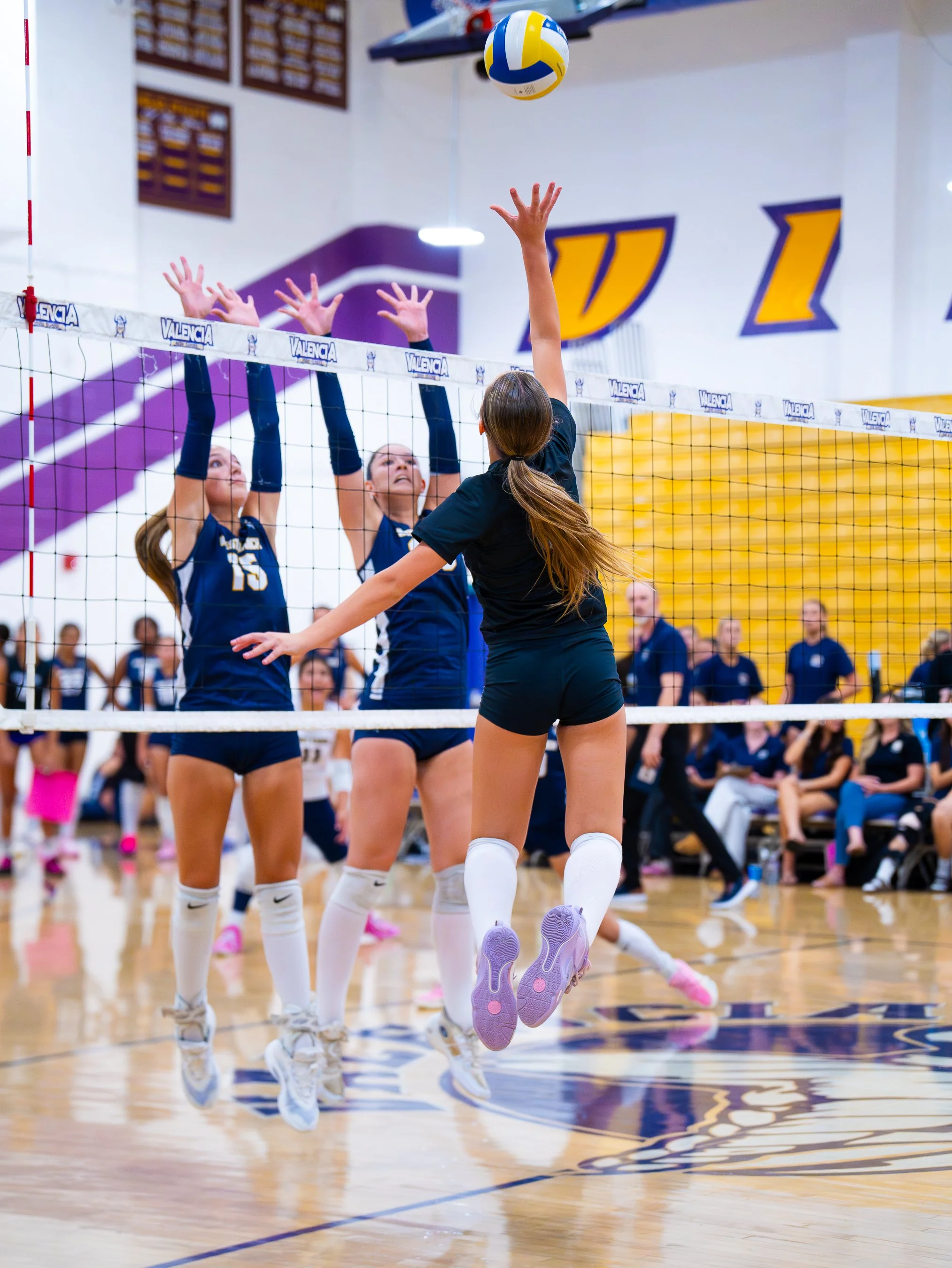 MSL Media- Valencia JV GVB-72.jpg