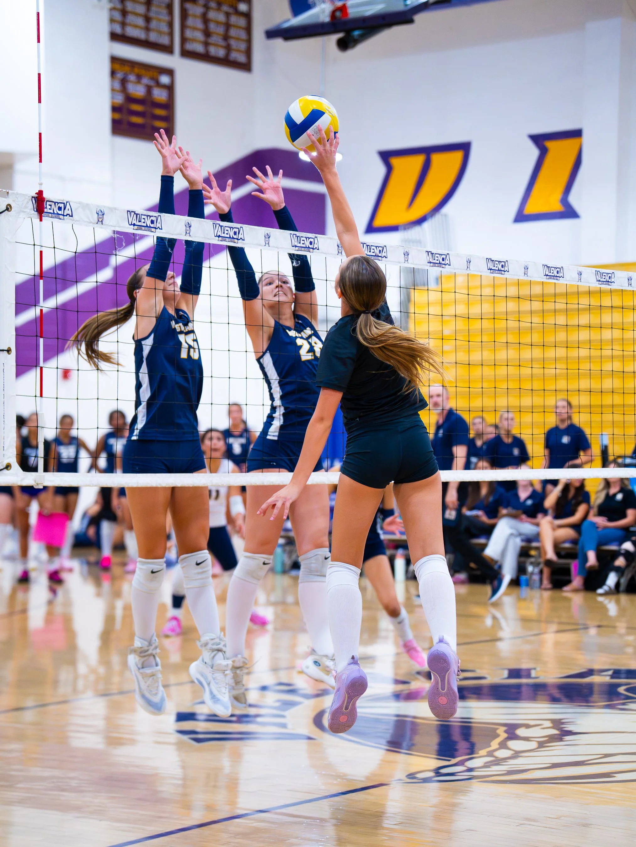 MSL Media- Valencia JV GVB-73.jpg