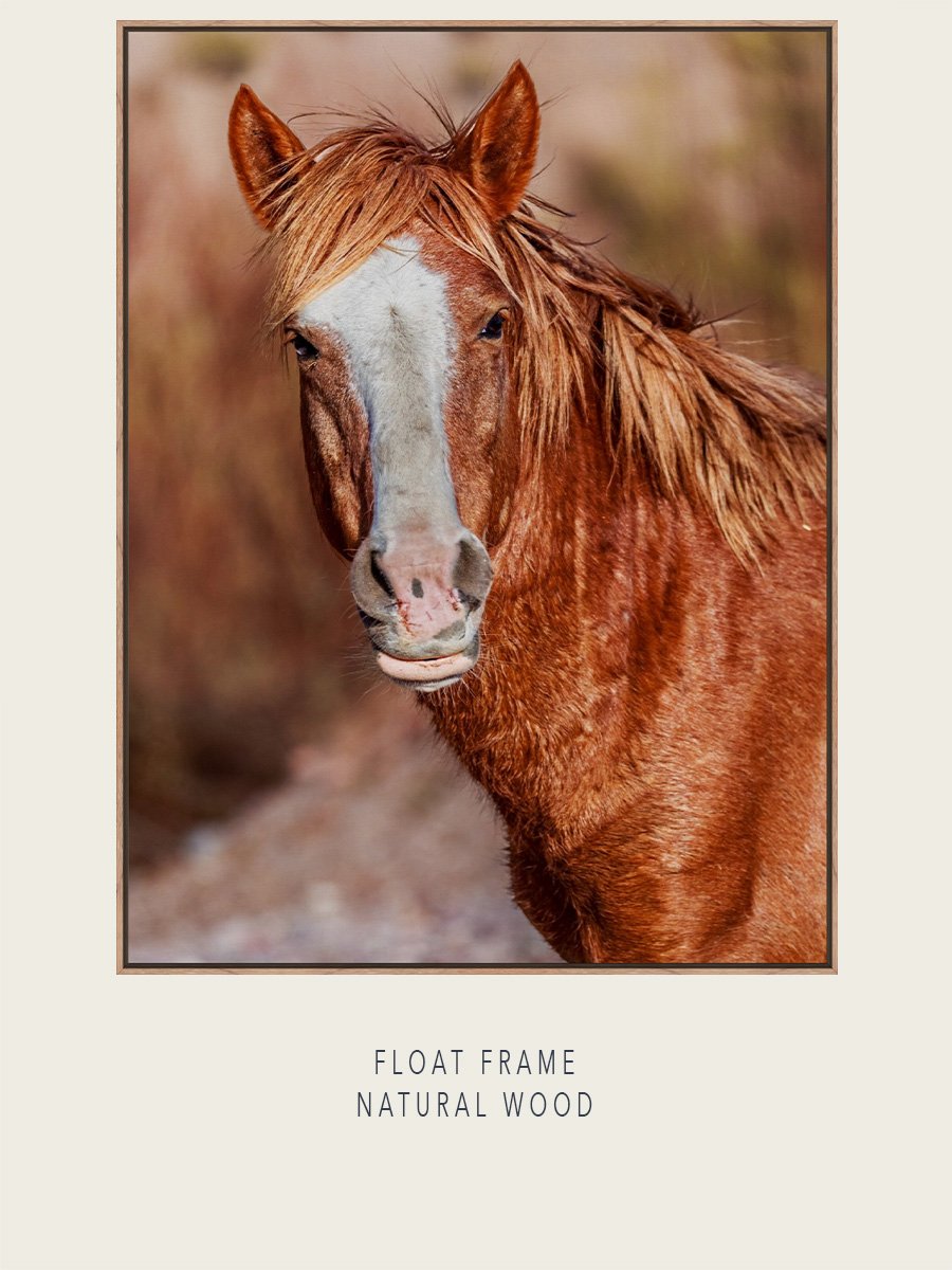 WildHorsesAZ-2025-03-#161C-EOL-Float-NaturalWood-ImageMockup.jpg