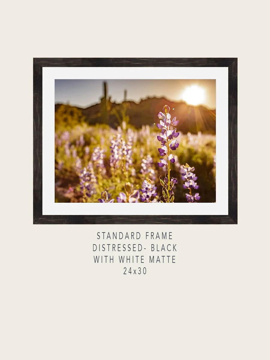 SonoranDesert#2-Standard-Distressed-Black-24x30-Mockups.jpg