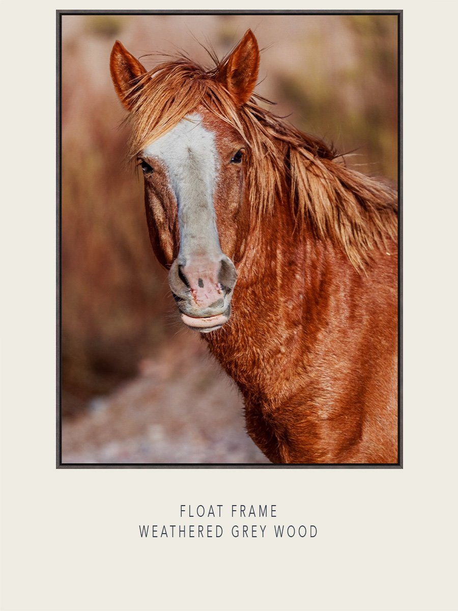 WildHorsesAZ-2025-03-#161C-EOL-Float-WeatheredGrayWood-ImageMockup.jpg
