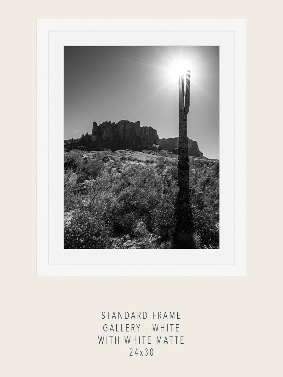 Superstitions#8-Standard-Gallery-White-24x30-Mockups.jpg
