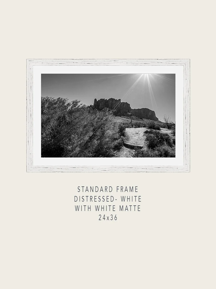 Superstitions#1-Standard-Distressed-White-24x36-Mockups.jpg