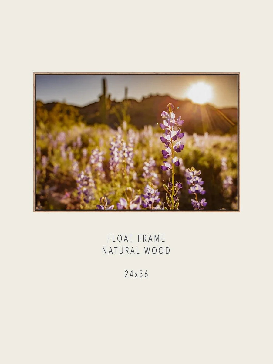 SonoranDesert#2-Float-NaturalWood-24x36-Mockups.jpg