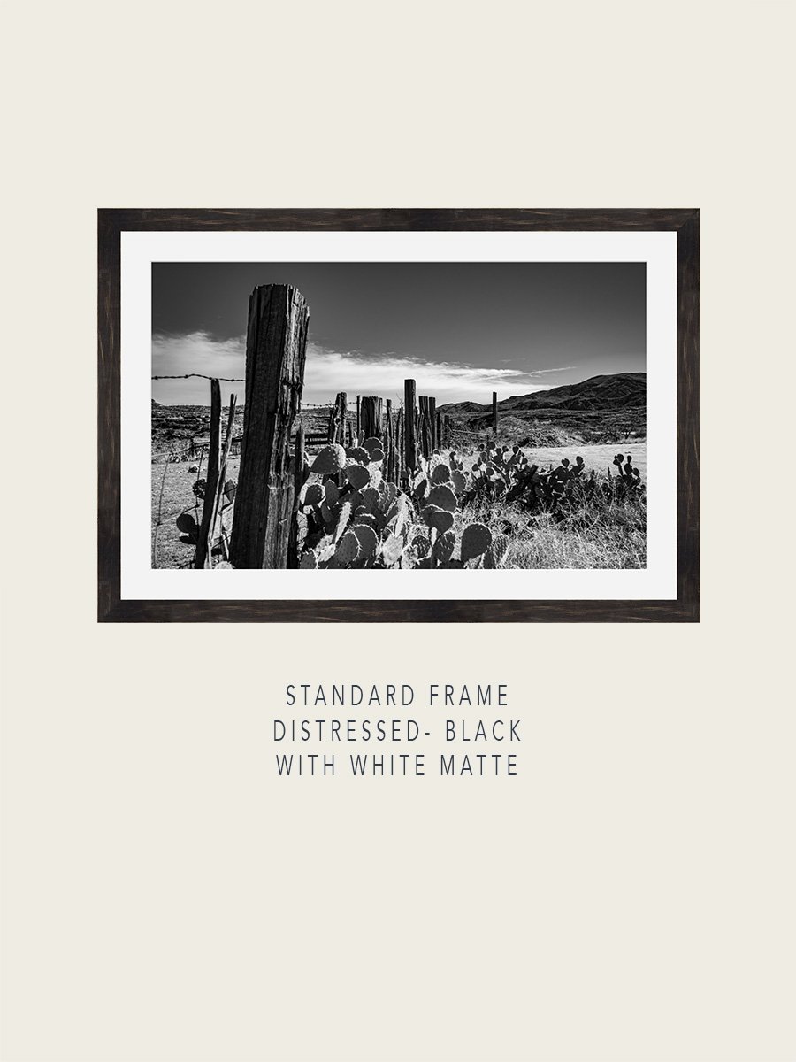 SonoranDesert#1M-Standard-Distressed-Black-ImageMockup.jpg