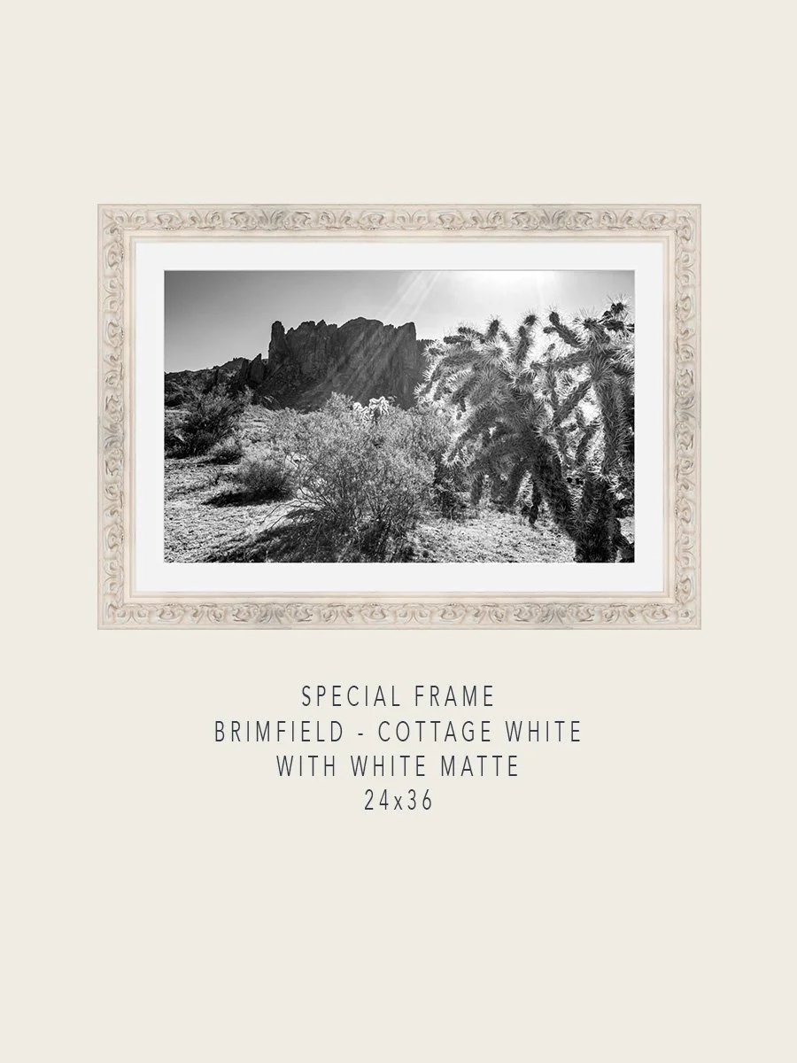 Superstitions#9-Special-Brimfield-CottageWhite-24x36-Mockups.jpg