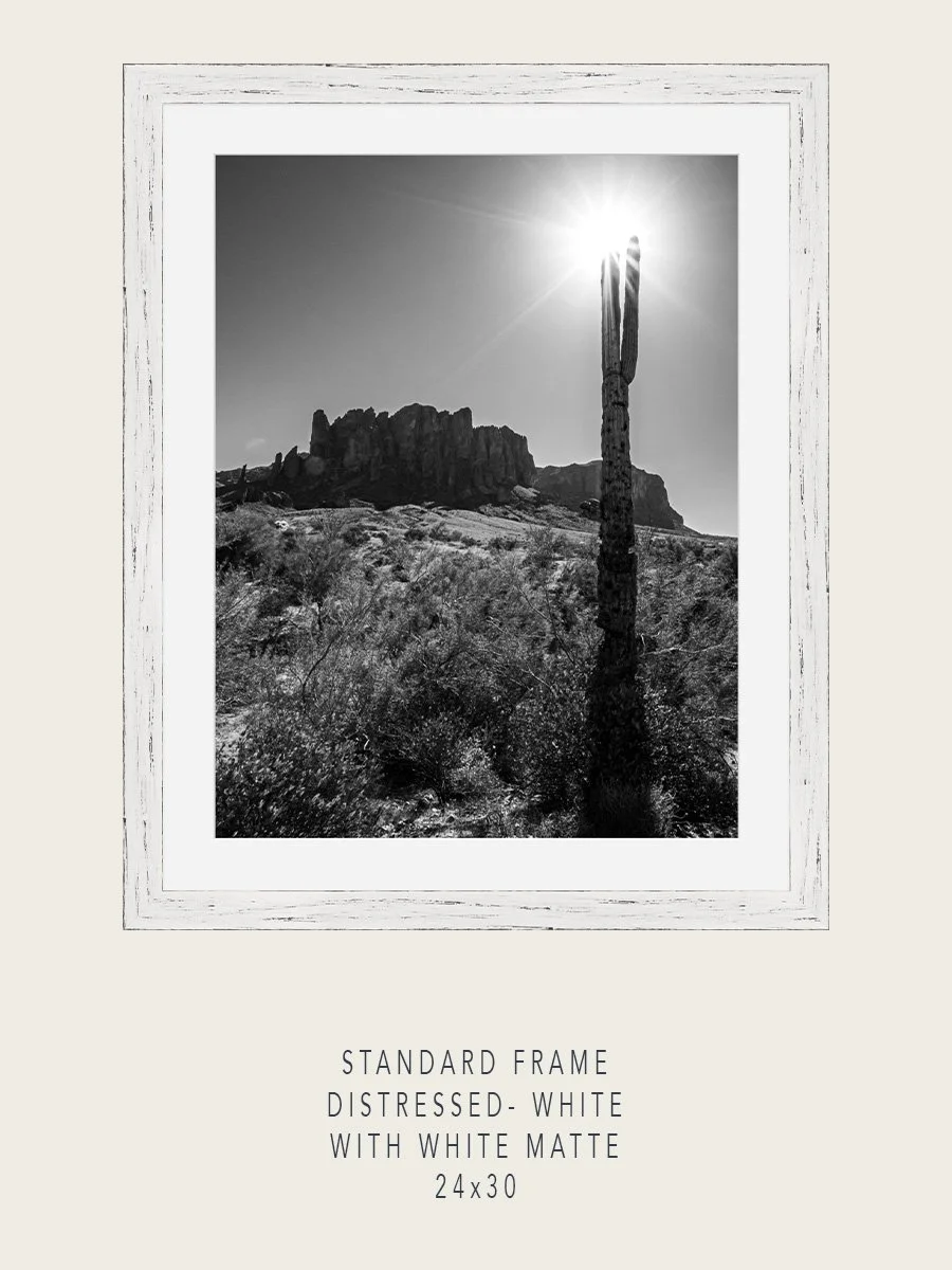 Superstitions#8-Standard-Distressed-White-24x30-Mockups.jpg