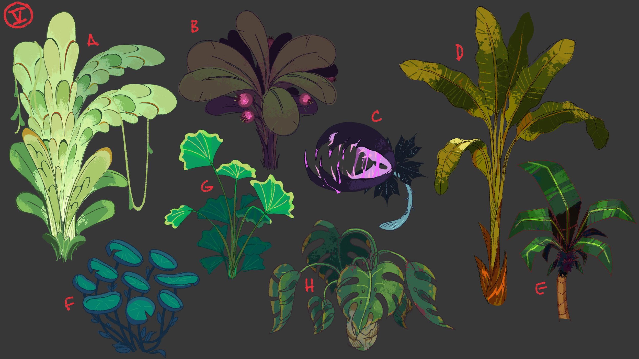DM_5_plants1.jpg