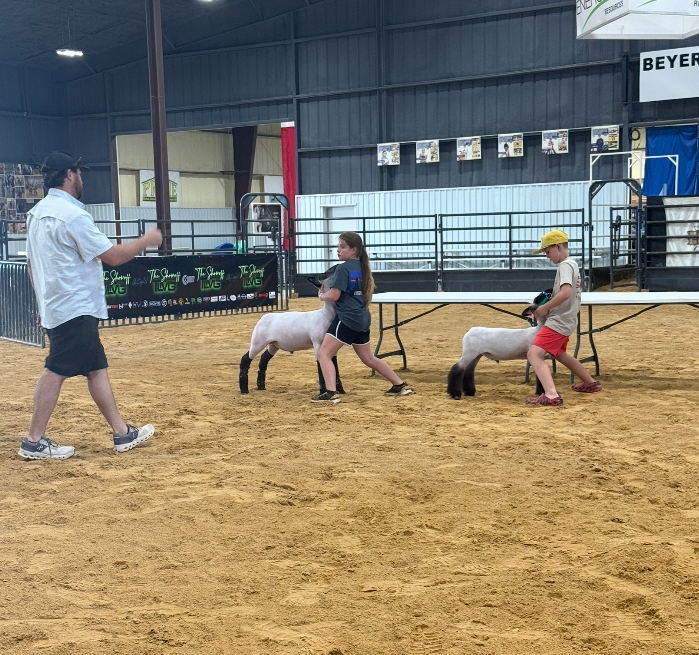 Have a Plan: How to Select Your First Show Animal and Survive Your First Live Sale