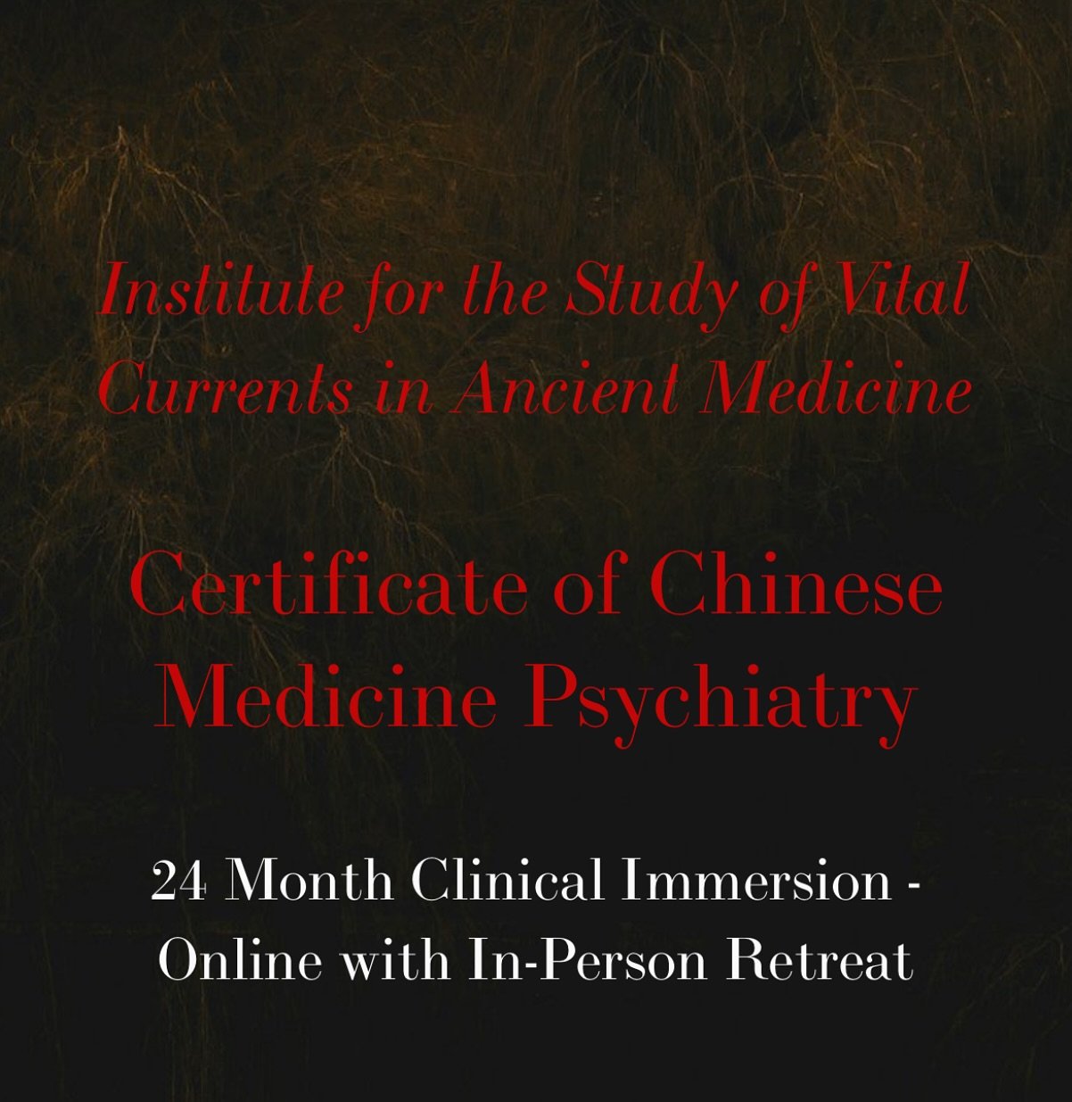 Excited to be embarking on a new program this month in Chinese Medicine Psychiatry taught by @brandt_stylostixis. I have been wanting to deepen my skills as a practitioner and feel grateful to have been introduced to this course. Best part is being a