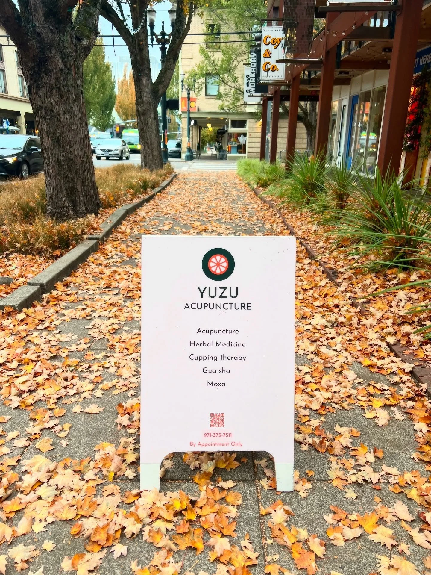 🍂🍁A GENTLE REMINDER🍁🍂

Chinese medicine is preventative medicine.

As the weather gets colder, take the time to nourish yourself with warm drinks &amp; food, do less and get some acupuncture. This is a good time to boost your immunity and prepare