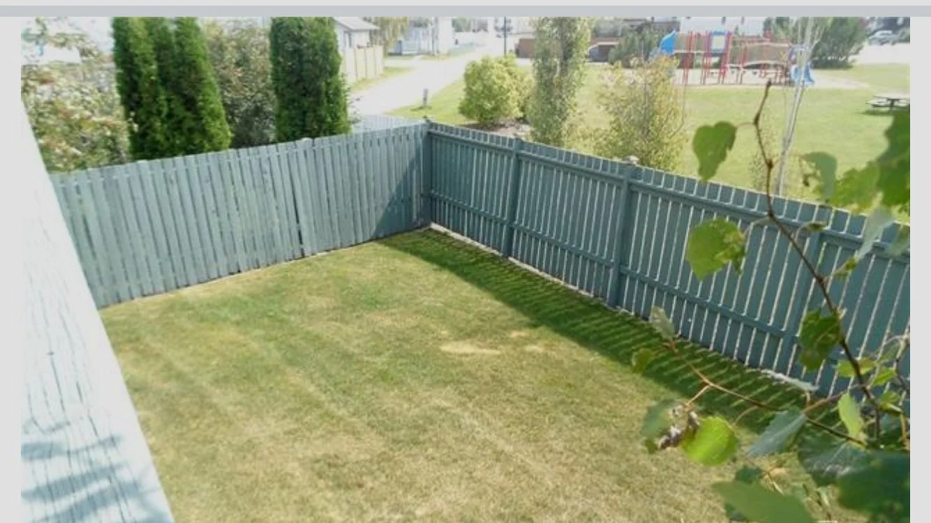 Yes, just a lot of almost dead grass. Guess what? Not a bird in sight....