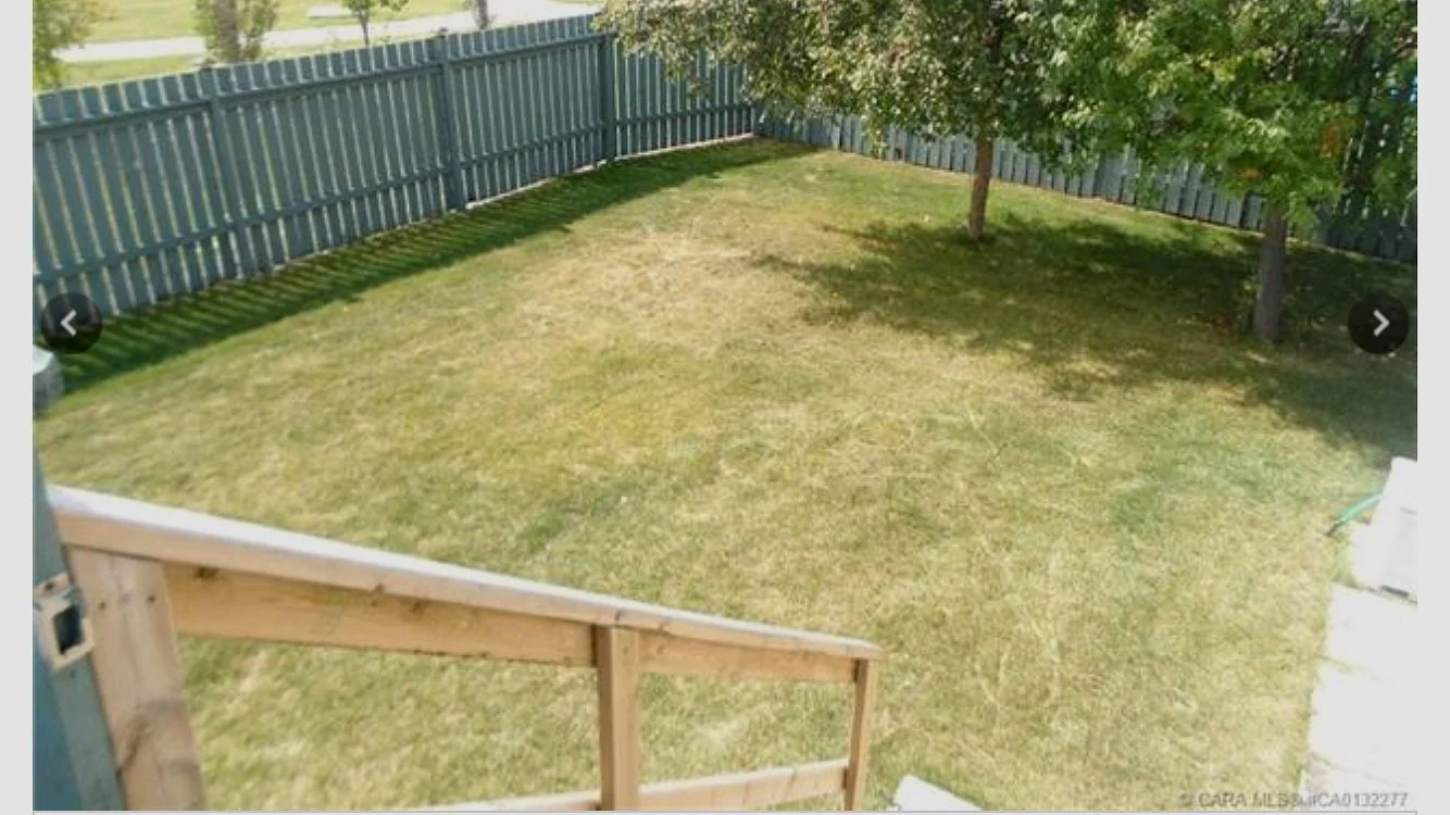 How did it all start? Well... with a yard of wasteland grass and thankfully some siberian crab apple trees!