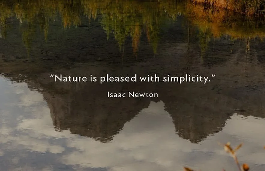 Keep it simple 🌻
#natureisbeautiful❤️ #biodiversity #birdnerd