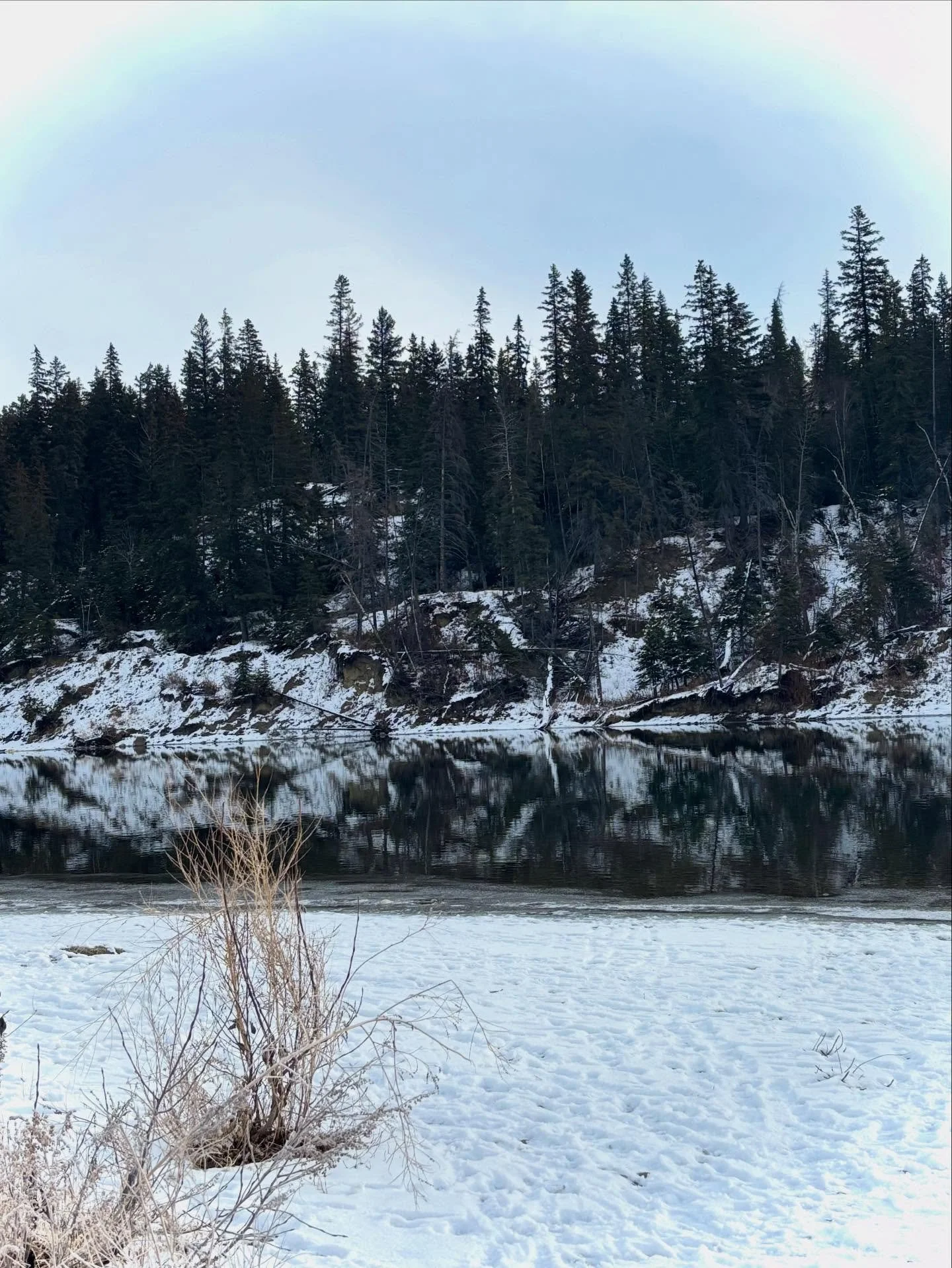 Can put up with the work week when the weekends are like these 💕
#winterwonderland❄️❤️ #puppylove #birdnerd