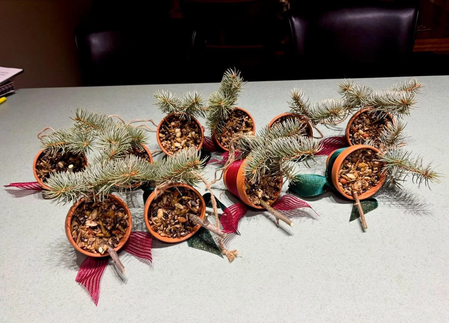What does the Bird Nerd give to say &ldquo;I&rsquo;m thankful for you in my year&hellip;&rdquo;? Well how about some homemade mini Christmas suet feeders!  Who wouldn&rsquo;t want more birds in their yard&hellip; (funny story about the one person who