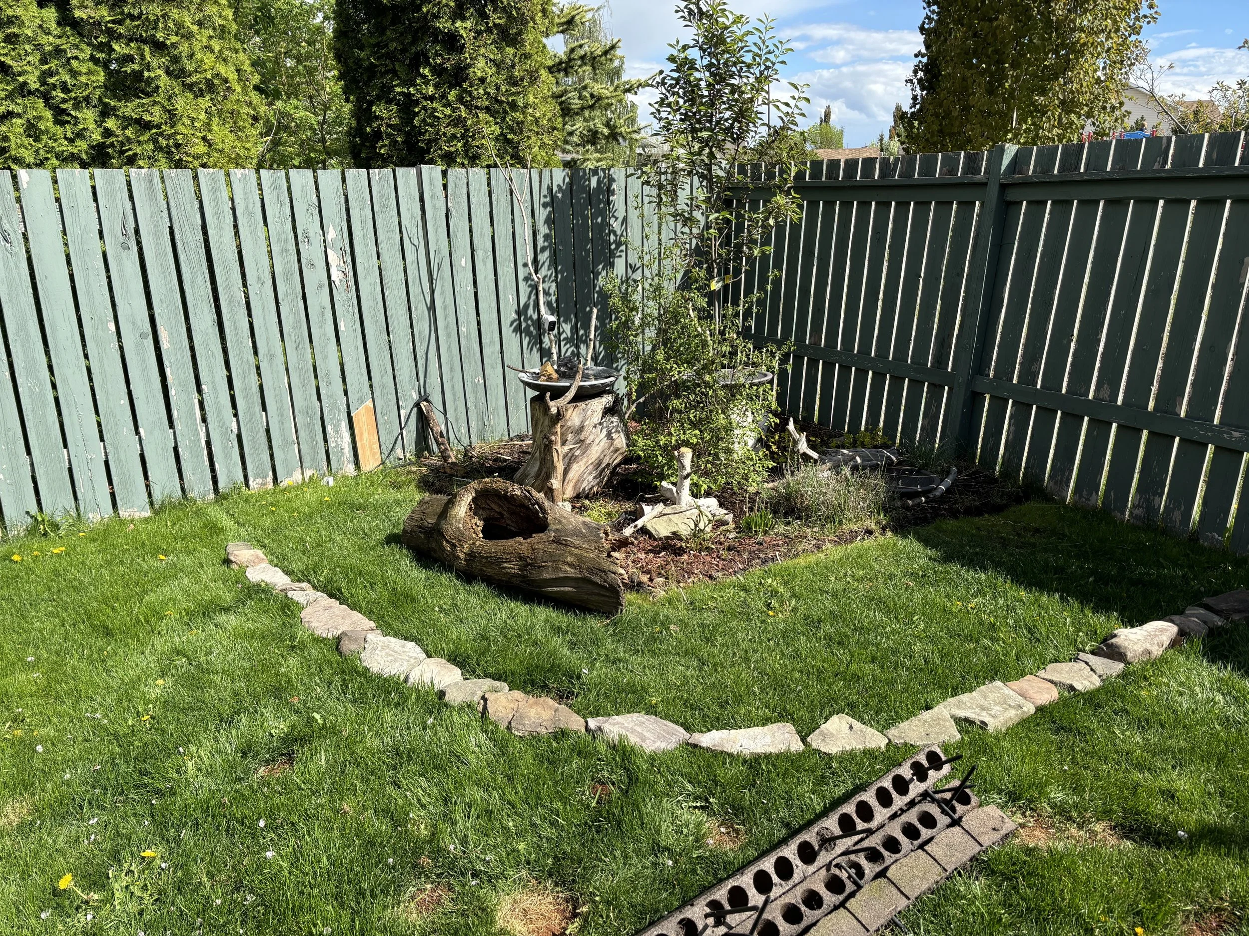 Ahh... the expanding bird area (can always give up more grass area)