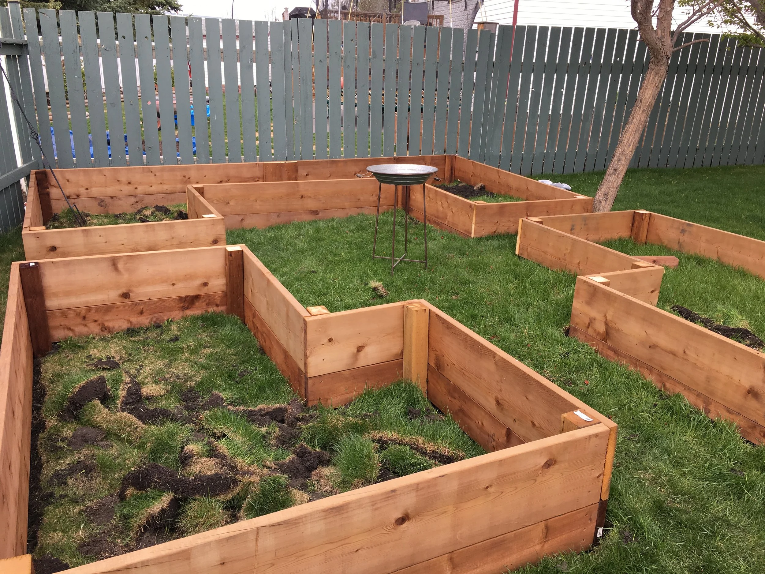Yay! Raised garden boxes!! Vegetables and a sunflower garden at the back (hello goldfinches!)