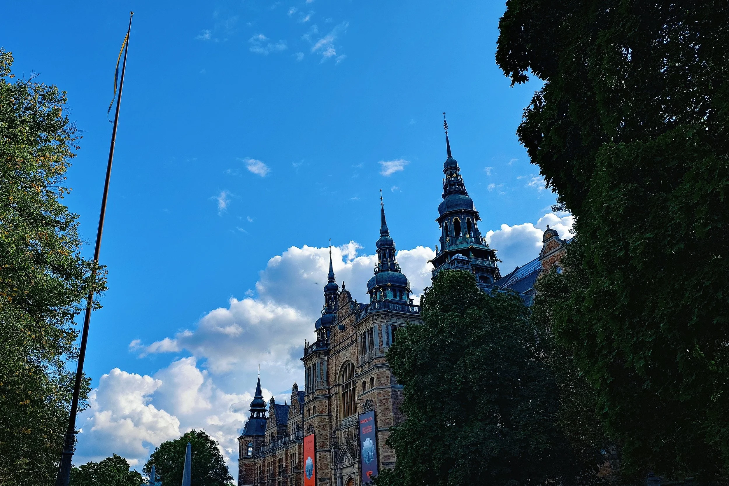 MEITU_20250312_205058693.jpg