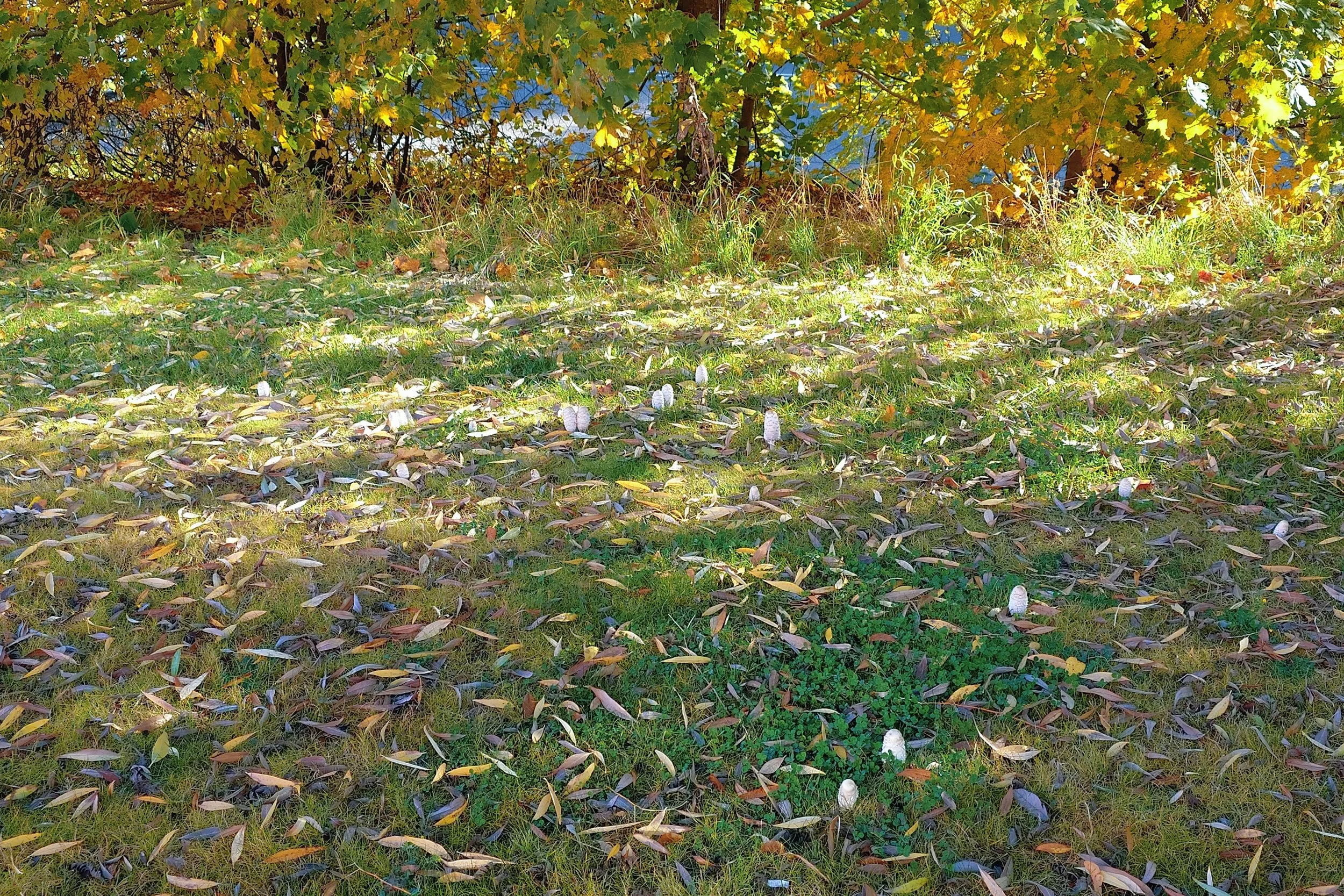 MEITU_20251224_212630998.jpg