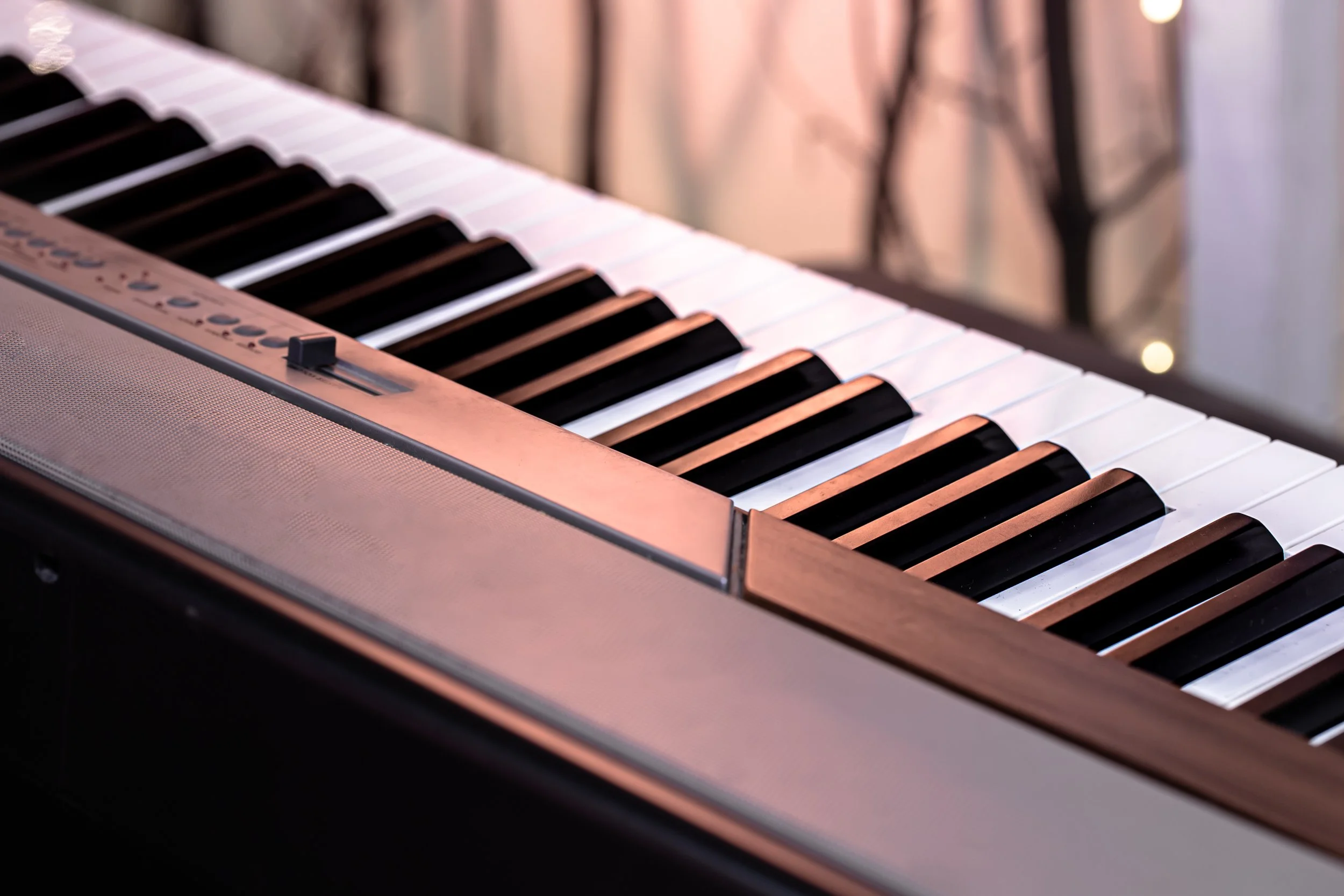 Piano Class for Beginner (Adult)