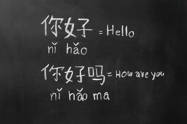Chinese & English Language Tutoring