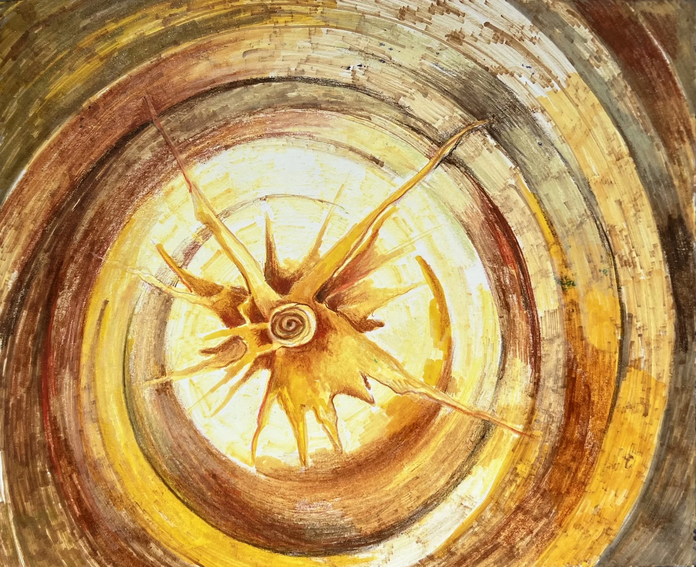 drawing by Rebecca Wilkinson of rays radiating from the center of radiating circles