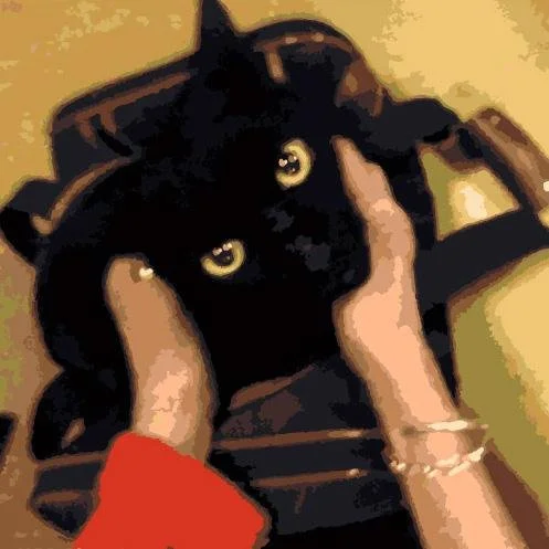 The Cat Out of the Bag and Other Stressors