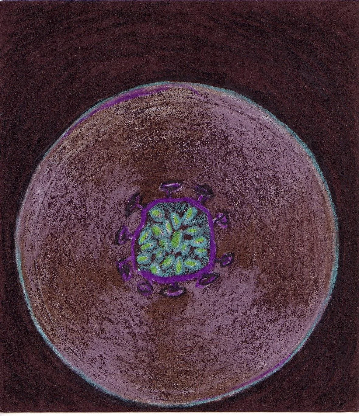 Positive Partnerships