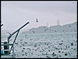 A Good Life and a Good Death