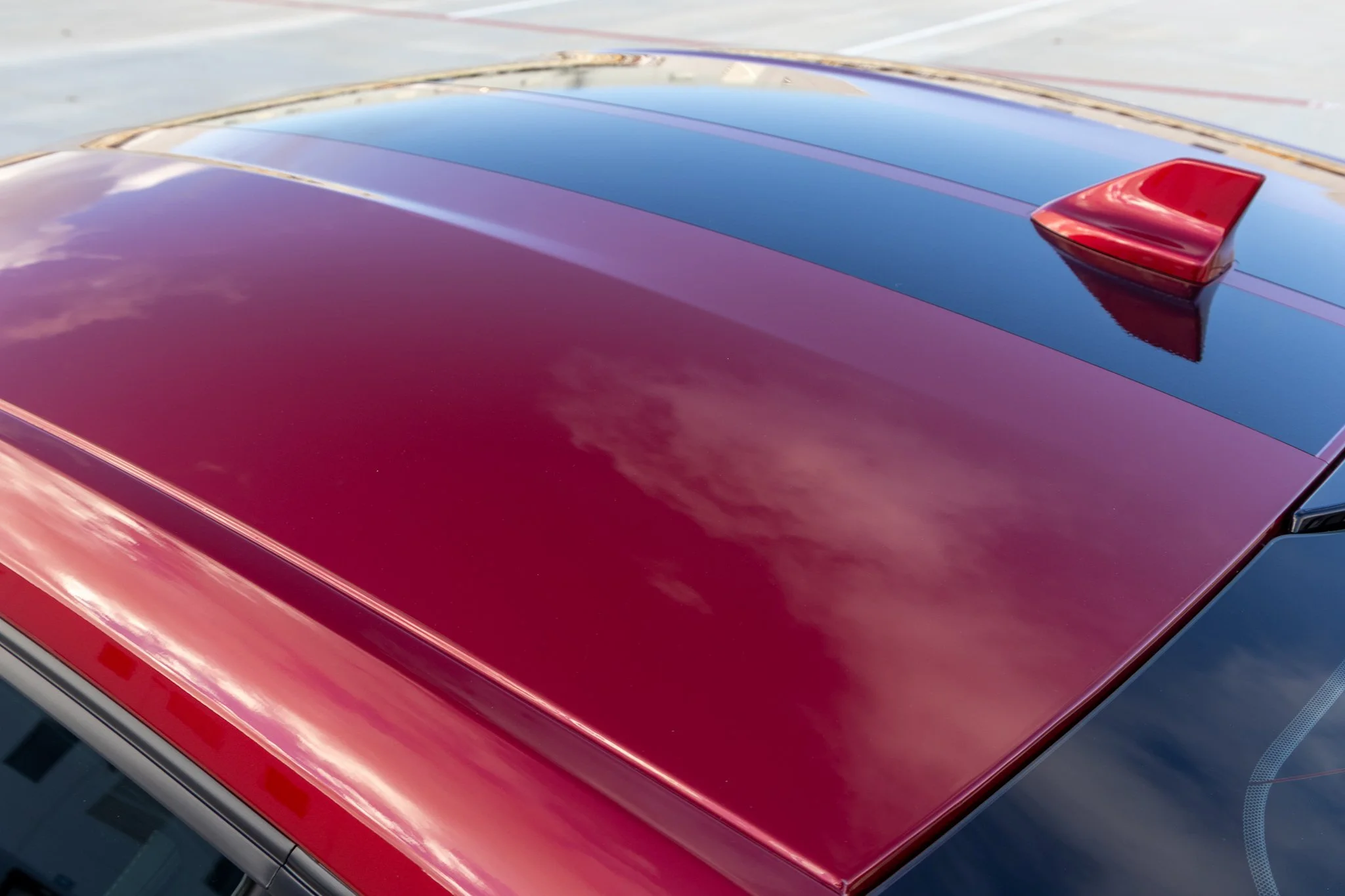 2020 Shelby GT500 CFTP-040.jpg