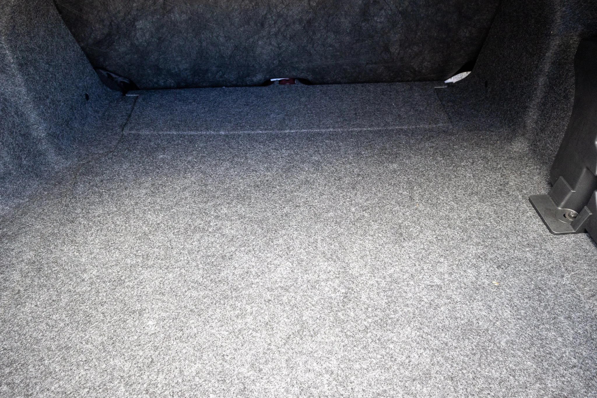 2020 Shelby GT500 CFTP-203.jpg