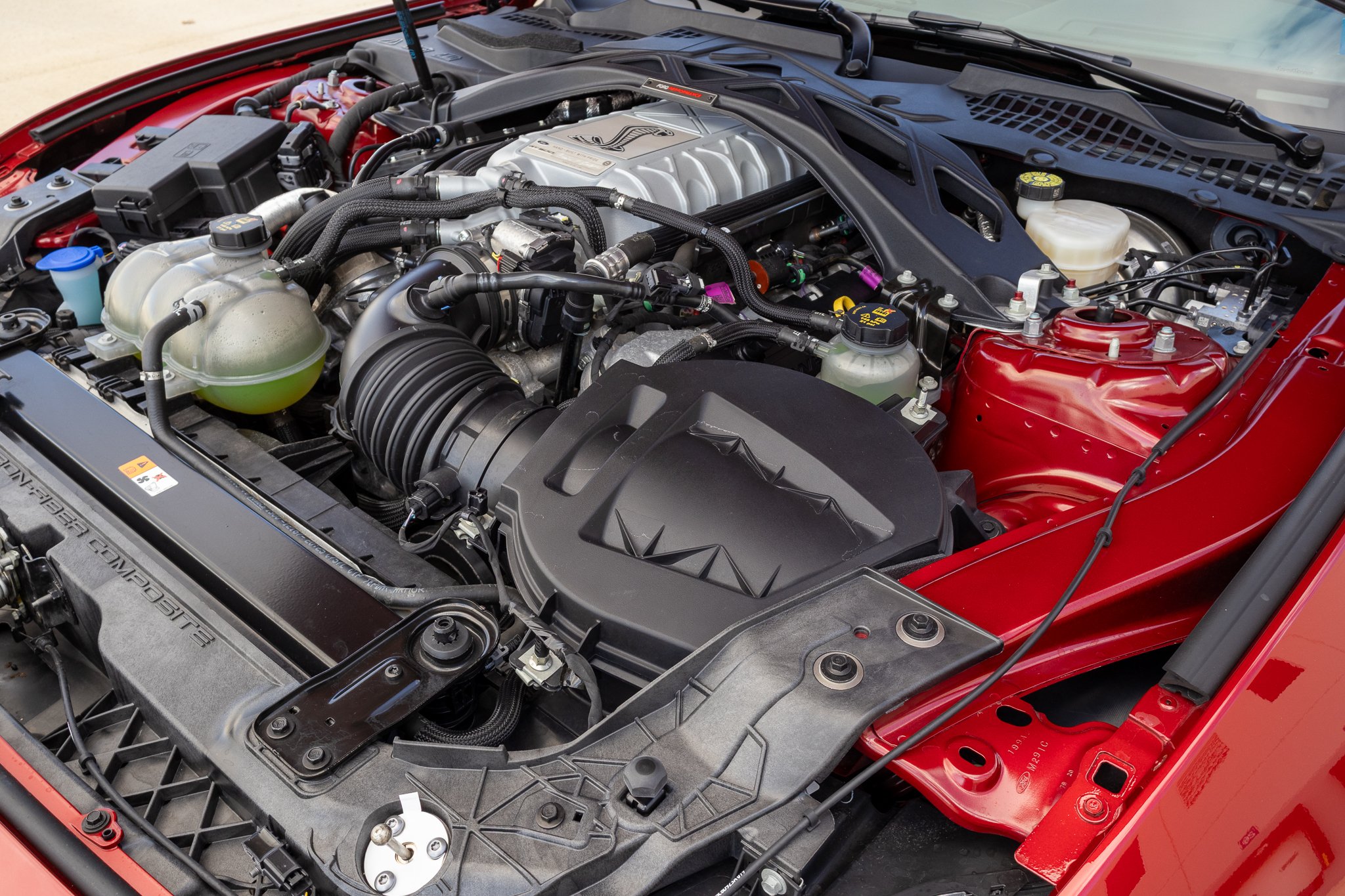 2020 Shelby GT500 CFTP-196.jpg