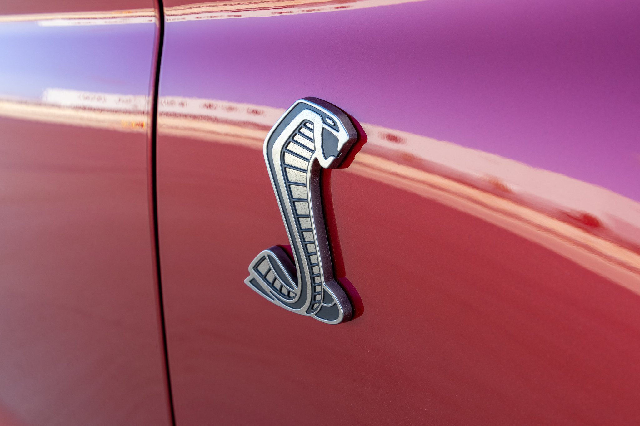 2020 Shelby GT500 CFTP-106.jpg