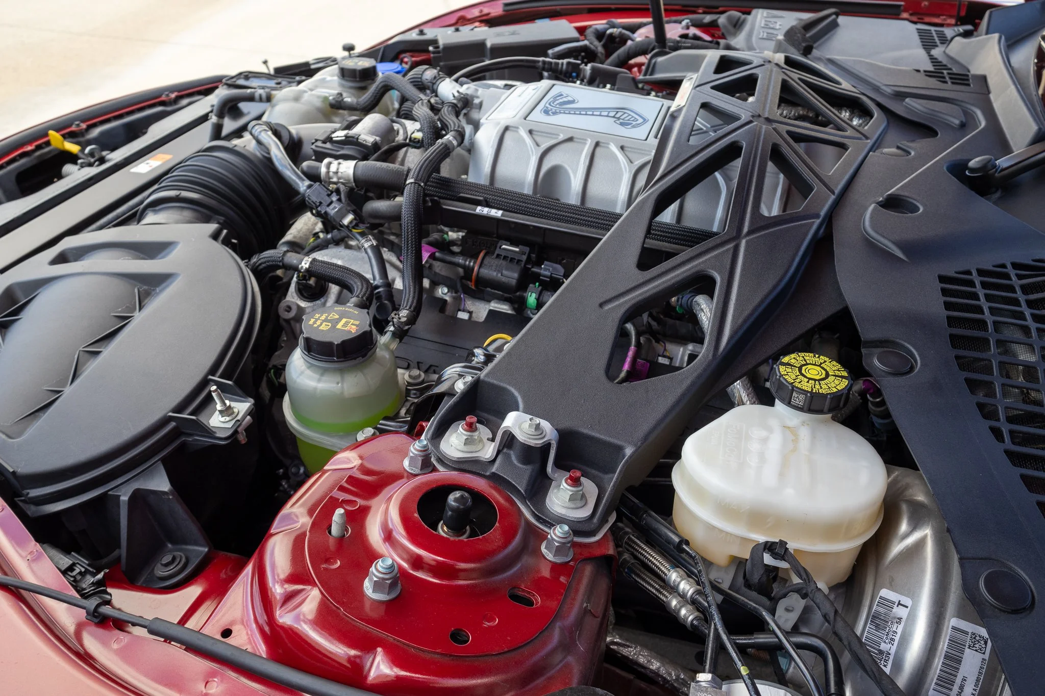 2020 Shelby GT500 CFTP-198.jpg