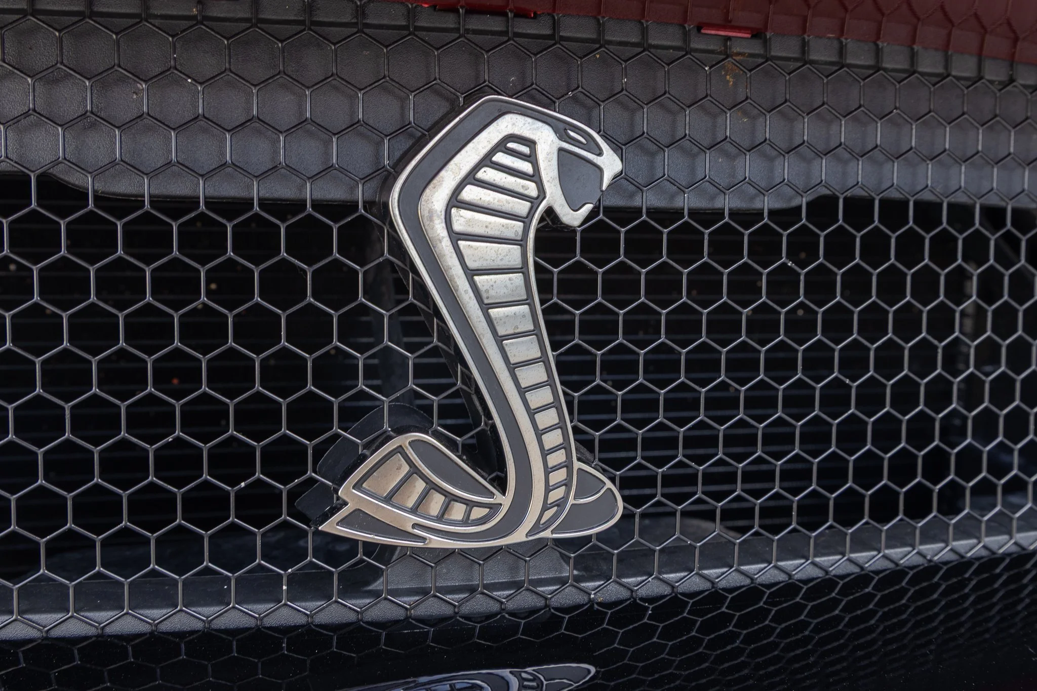 2020 Shelby GT500 CFTP-101.jpg