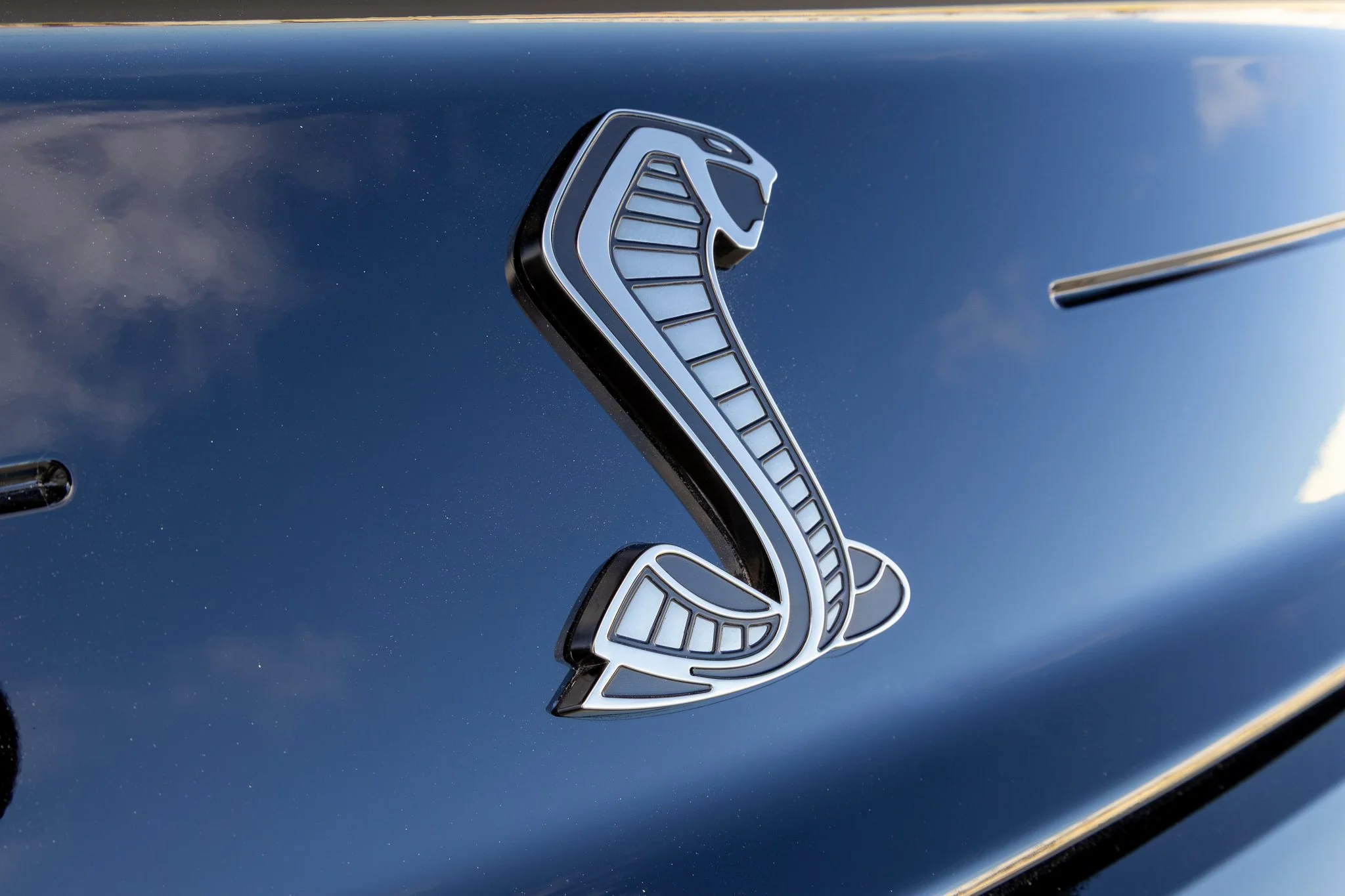 2020 Shelby GT500 CFTP-107.jpg