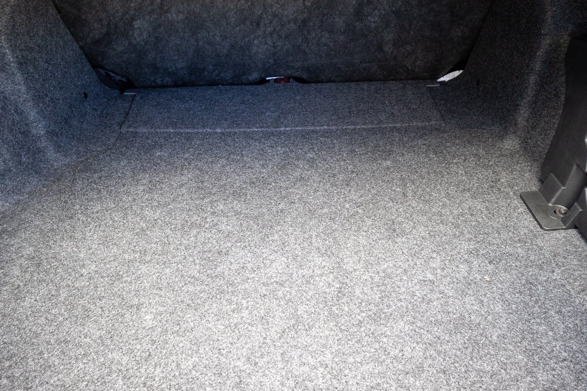 2020 Shelby GT500 CFTP-203.jpg