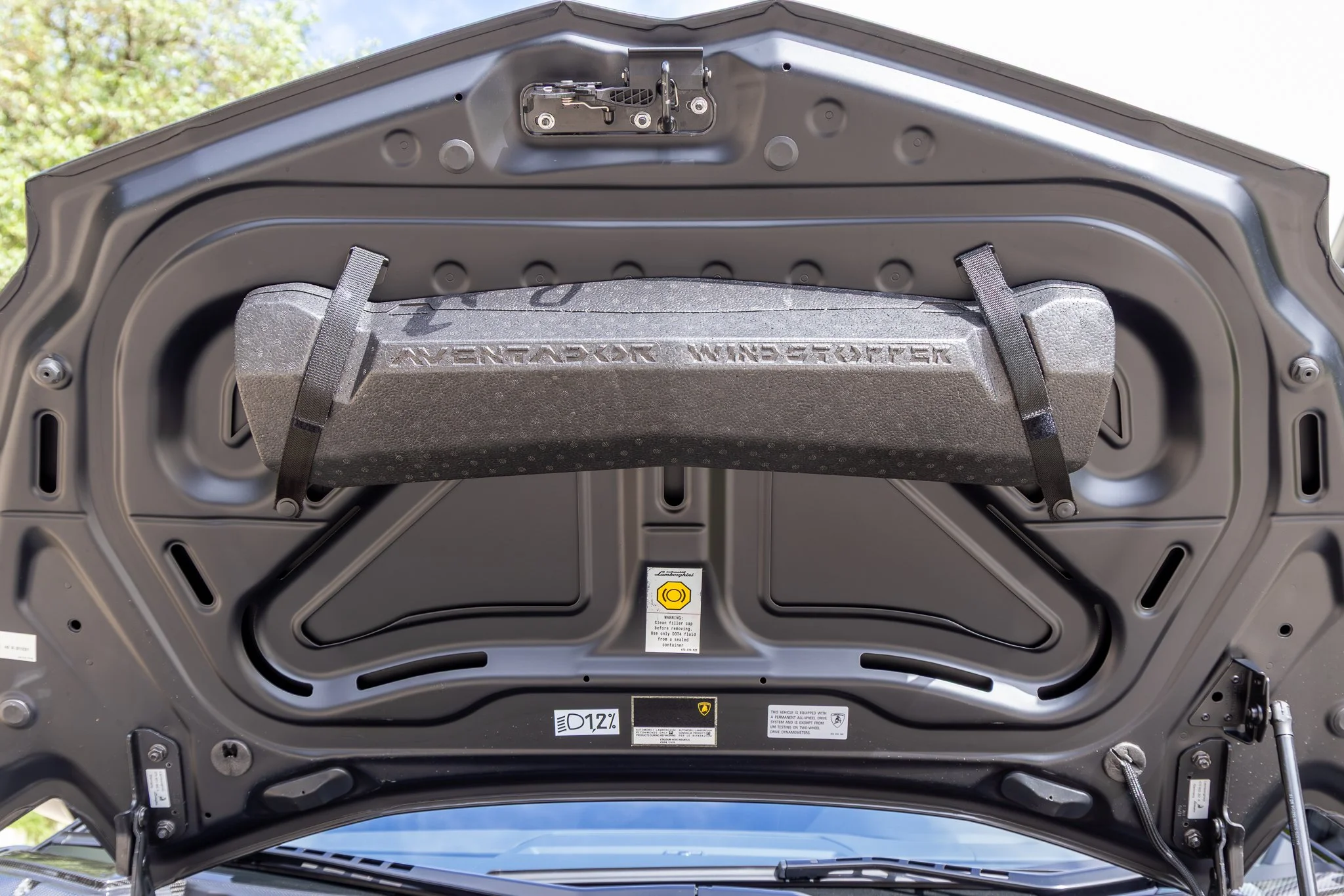 lamborghini aventador-181.jpg