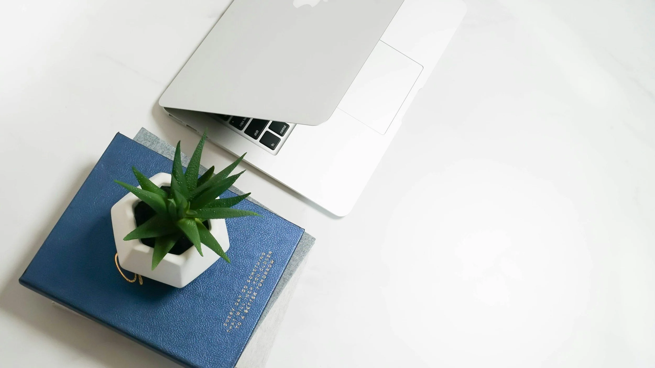 Laptop, plant, and book on white desk