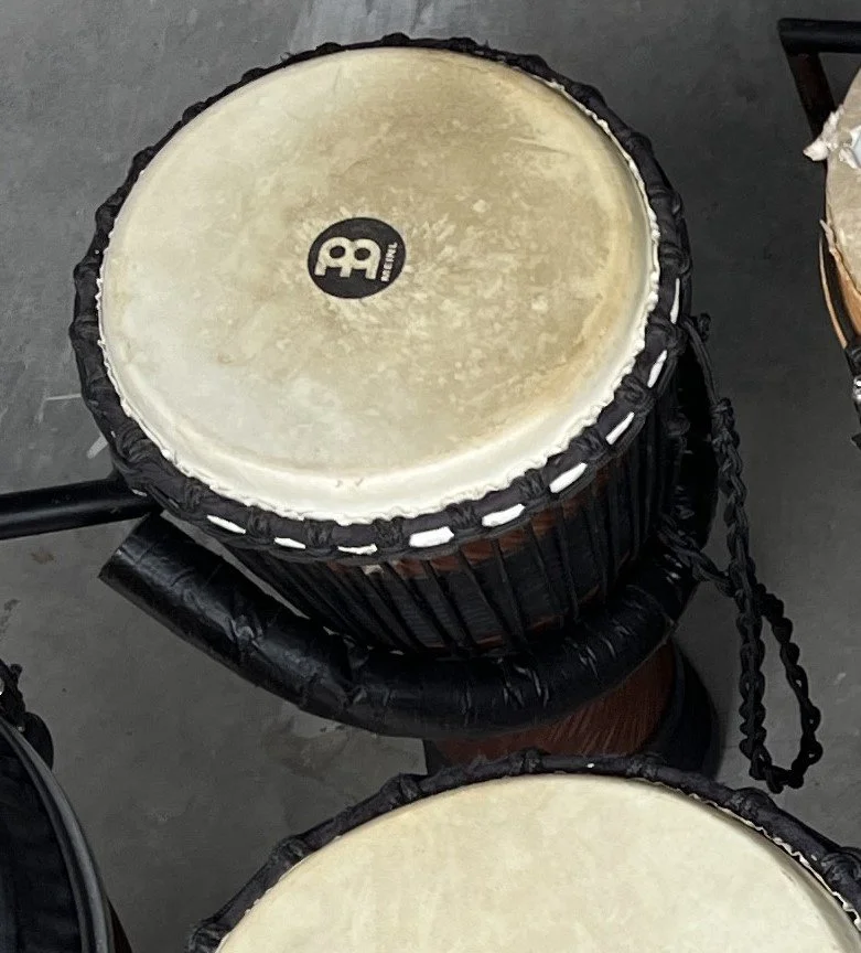 meinl.jpg