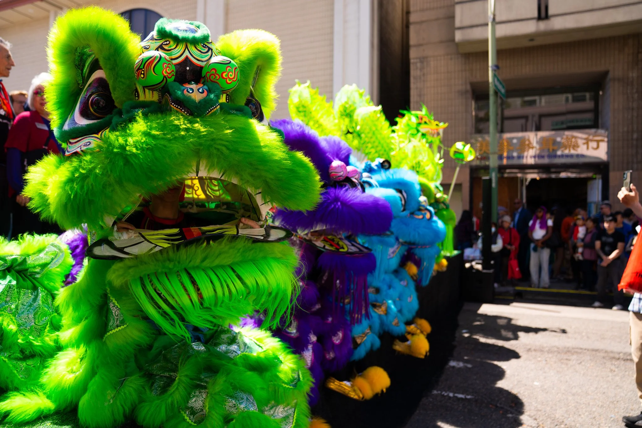 DSC08753.jpg