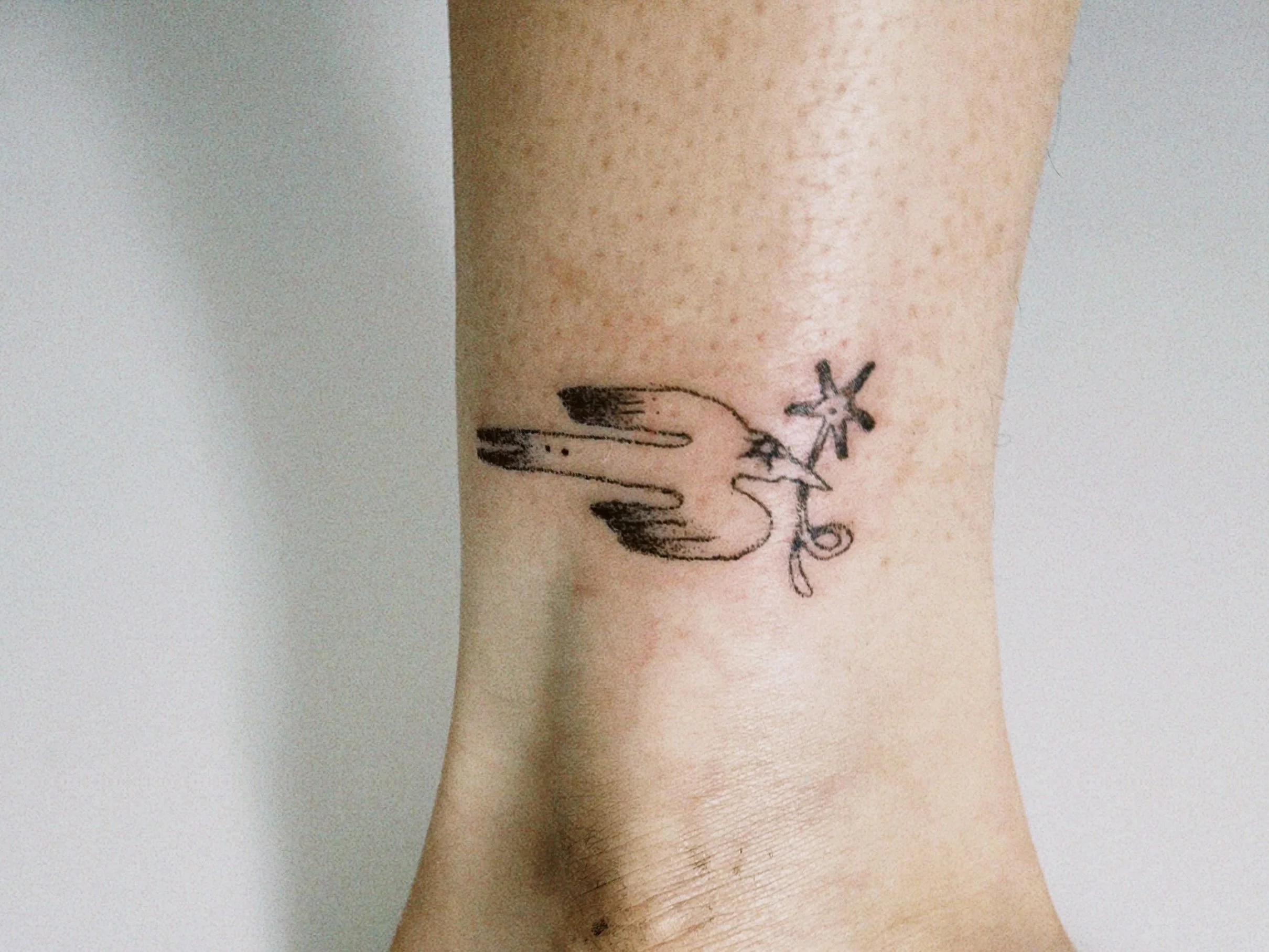 classicu 2024-11-11 185829.319.jpeg