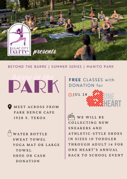 Barre in the Park